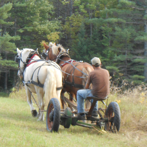 Joseph Ledoux Photo 27