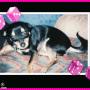 Anita King Photo 11