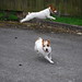 Sally Russell Photo 40