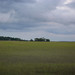 Bryan Marsh Photo 12