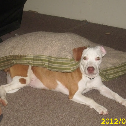 Gailann Melzer Photo 4