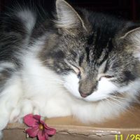 Annie Proctor Photo 2