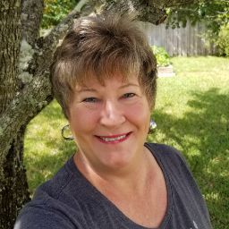 Debra Collins Photo 29