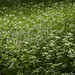 Mark Feit Photo 16