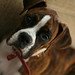 Jean Brindle Photo 6