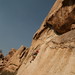 Joshua Robb Photo 28