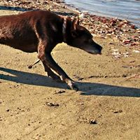 Sidney Bean Photo 19