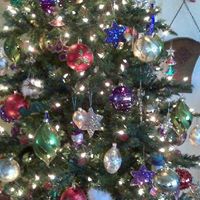 Suzan Jenkins Photo 9