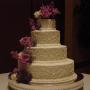 Deborah Stevenson Photo 27