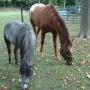 Annette Ward Photo 16