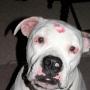 Paula Conklin Photo 17