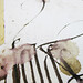 Jamie Schaeffer Photo 12