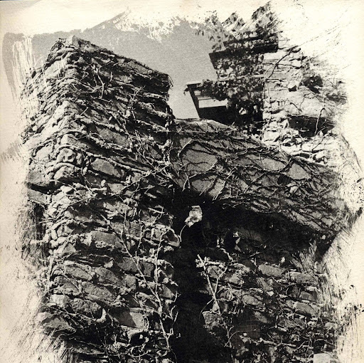Nancy Sommers Photo 13