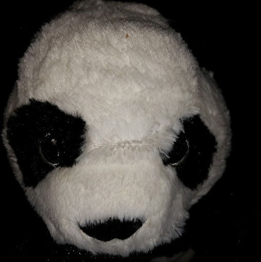 Woo Lee Photo 15