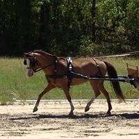 Cathy Rhoades Photo 26