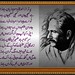 Muhammad Zafar Photo 27