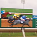 Sam Houston Photo 10