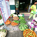 Gene Ngo Photo 3