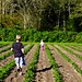 Janice Fields Photo 16
