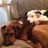 Tracy Corcoran Photo 8