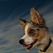 Sandy Borders Photo 14