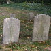 David Keesey Photo 16