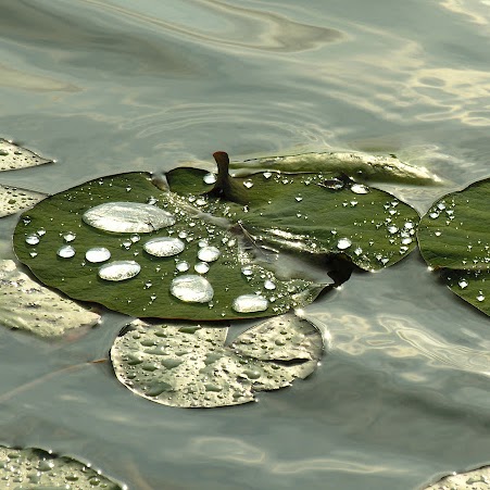 Anne Smithson Photo 10