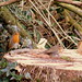 Robin Monaghan Photo 10