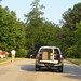 Nancy Reilly Photo 9