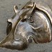 Mark Ferrante Photo 12