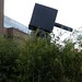 Paul Mccarthy Photo 31