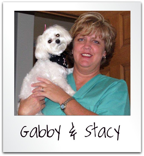Stacy Porter Photo 22