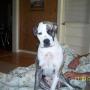 Kathy Mathis Photo 7