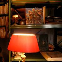 Judith Weiner Photo 25
