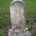 Lawrence Lynch Photo 19