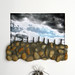 Pamela Cross Photo 28