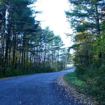 Emily Moyer Photo 8