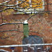 Peder Oase Photo 4