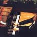 Yun Li Photo 7