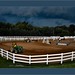 John Scurry Photo 25