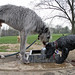 Terry Cater Photo 18