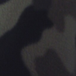Sam Padgett Photo 2
