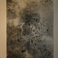 Ning Wang Photo 17