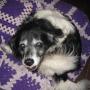 Heather Warren Photo 40