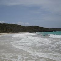 Janice Torrez Photo 7