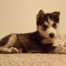 Kimberly Linck Photo 1