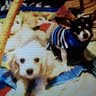 Gary Washburn Photo 33