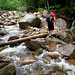 Nancy Brooks Photo 16