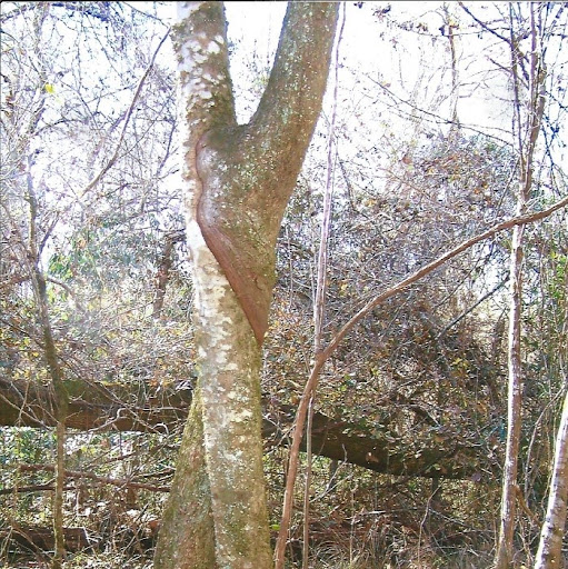 Ruby Mitchell Photo 3