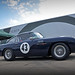 Martin Stuart Photo 16